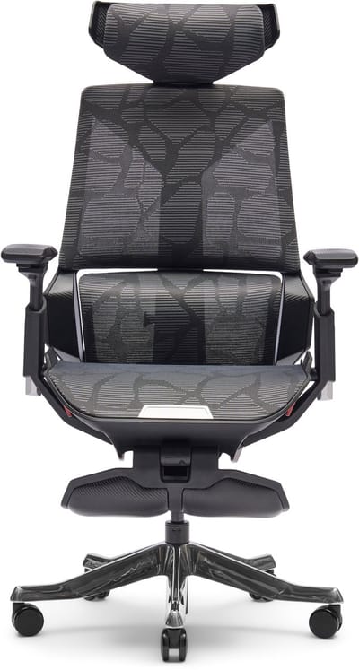 BloodDragon ergonomische gamingstoel, silver