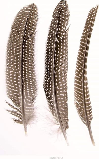 Hobby/knutsel Parelhoen/fazanten sierveren - 5x stuks - decoratie materialen