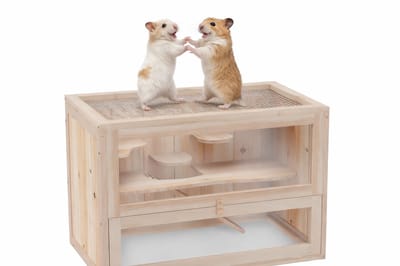 NordHaus Hamsterkooi - Houten Knaagdier Verblijf - Twee Niveaus met Loopplank - Plexiglas Panelen - 60x42x35 cm