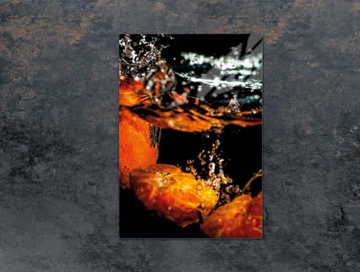 TMK ArtDeko - Snijplank - Glas - 35x52 cm - Fruitenprint