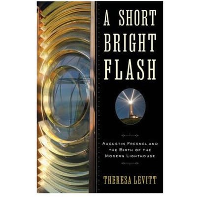 A Short Bright Flash - Levitt, Theresa
