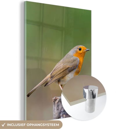 MuchoWow® Glasschilderij 30x40 cm - Schilderij acrylglas - Dieren - Vogel - Roodborstje - Foto op glas - Schilderijen