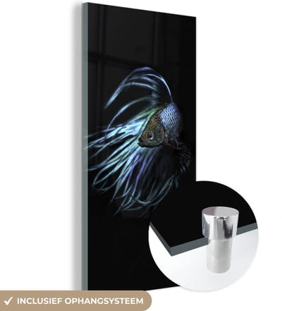MuchoWow® Glasschilderij 20x40 cm - Schilderij acrylglas - Vis - Zeedieren - Blauw - Zwart - Foto op glas - Schilderijen