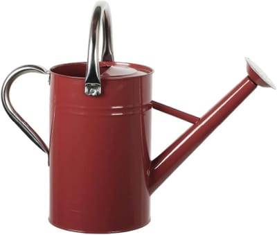 Roestvrijstalen Gieter - Waterkoker Metaal - Planten Water Geven - Afneembare Tuit - 5 Liter - Bordeaux