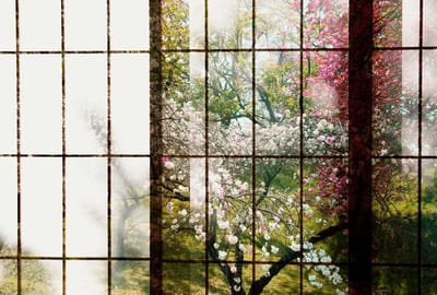 Fotobehang orchard 1 DD113727 Livingwalls Walls by Patel | 3D Fotobehang