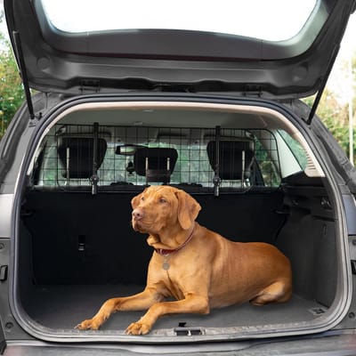 Hondenrek auto - Hondenrek - Autorek hond - Bagagerek - Kofferbak