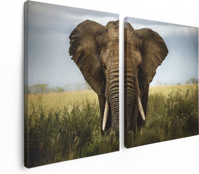 Artaza Canvas Schilderij Tweeluik Olifant In Het Wild - Kleur - 120x80 cm - Wanddecoratie Woonkamer - Schilderijen - Muurdecoratie