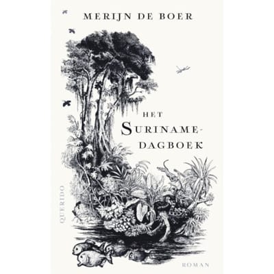 Het Surinamedagboek - Merijn de Boer