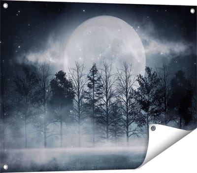 Gards Tuinposter Maan tussen de Bomen in de Nacht - 80x60 cm - Tuindoek - Tuindecoratie - Wanddecoratie buiten - Tuinschilderij