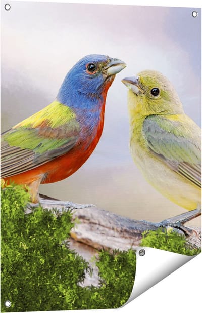 Gards Tuinposter Getekende Gorzen Vogels - Kleur - Abstract - 60x80 cm - Tuindoek - Tuindecoratie - Wanddecoratie buiten - Tuinschilderij