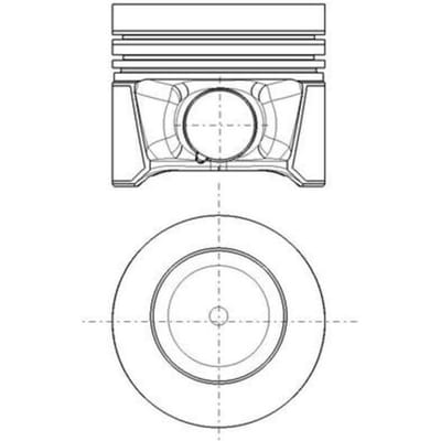 Zuiger MAHLE 028 PI 00179 000
