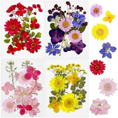 48 Stuks Natuurlijke Gedroogde Bloemen voor DIY Projecten en Decoratie