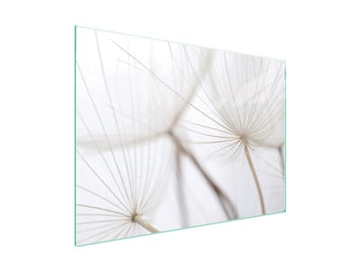 TMK ArtDeko - Beschermende Glazen Plaat - 70x52 cm - Bloem - Veilig en Veelzijdig