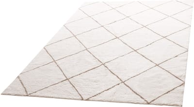 Pluche Karpetten voor Binnen, 8 X 3m Zacht Tapijt, Harige Tapijten met Lange Pool, Dik en Duurzaam Hoogpolig Tapijt voor Drukke Ruimtes, Slaapkamer, Niet-Afstotende en Antislip Achterkant, Beige