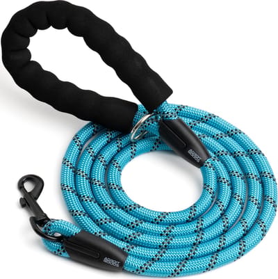 AdroitGoods Hondenriem – 200 cm - Hondenlijn - Looplijn - Reflecterend - Blauw - Lange lijn hond