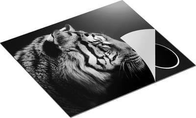 Chefcare Inductie Beschermer Zijaanzicht van een Tijger - Tijgerkop - Zwart Wit - 60x50 cm - Afdekplaat Inductie - Kookplaat Beschermer - Inductie Mat