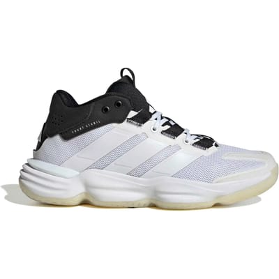 Indoorschoenen voor dames adidas Courtstabil