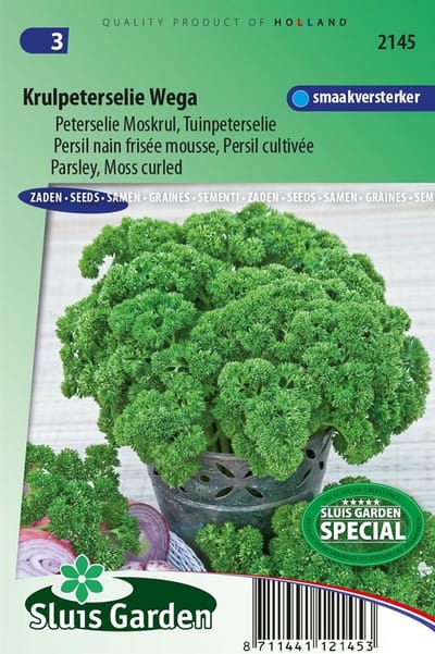 Sluis Garden - Peterselie Xenon (Petroselinum crispum)