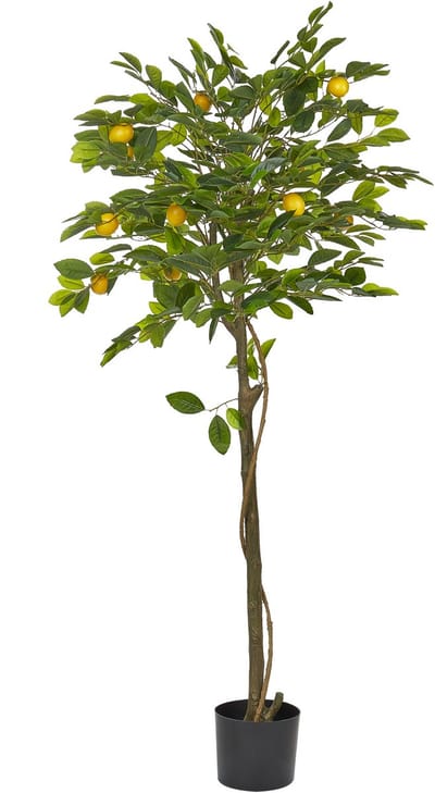 LEMON TREE - Kunstplant - Groen - 156 cm - Synthetisch materiaal