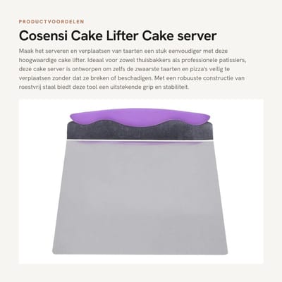 Dailygoods- Taartlifter - Roestvrij Staal - 24.5 x 20 cm - Taart Server - Pizza Transfer - Duurzaam - Gemakkelijk in gebruik - Taartserver