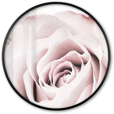 Poster in lijst Rond - Fotolijst 60x60 cm - Posters - Bloemen - Roos - Roze - Botanisch - Ronde posterlijst zwart - Decoratie - Wanddecoratie woonkamer - Muurdecoratie slaapkamer