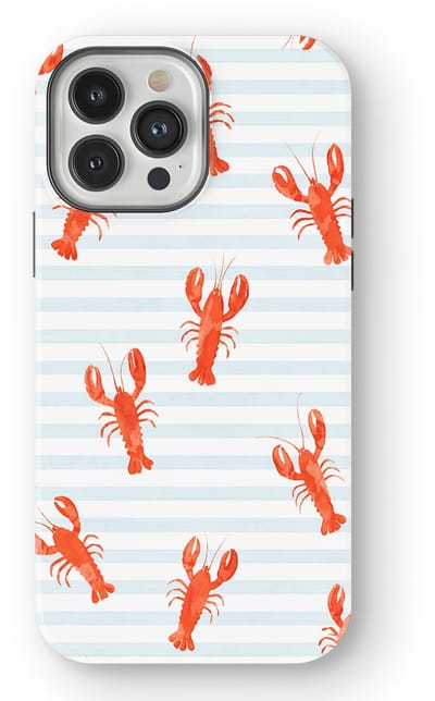 DripCase Hoesje geschikt voor iPhone 13 Pro Max | Happy Stripes Motief | Magnetisch Opladen | 2-in-1 Ontwerp | Vrolijke Backcover geschikt voor iPhone 13 Pro Max Lobster Lanes