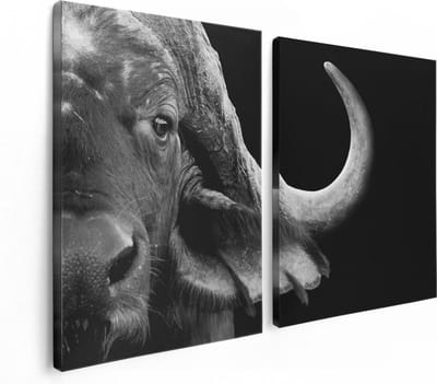 Artaza Canvas Schilderij Tweeluik Buffel - Buffelkop - Zwart Wit - 120x80 - Foto Op Canvas - Canvas Print