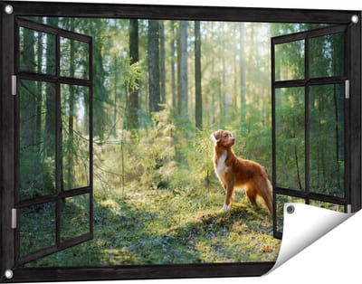 Gards Tuinposter Doorkijk Retriever Hond in het Bos met Zon - 90x60 cm - Tuindoek - Tuindecoratie - Wanddecoratie buiten - Tuinschilderij