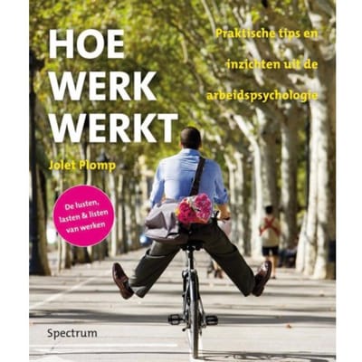 Hoe Werk Werkt - Jolet Plomp