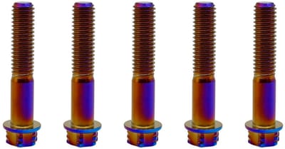 Titanium bouten M8 x 1,25 x 45 mm titanium schroeven Torx titanium schroeven voor motorfietsen zeskantige kop Dual Drive gebrand blauw titanium flensschroef 5 stuks