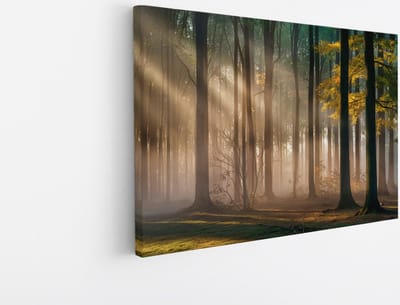 Saammp Canvas Schilderij - Bos met zonneschijn- Landschap - Bloemen - Natuur - 45x30 - Foto op canvas - Wanddecoratie - Muurdecoratie Woonkamer - Slaapkamer decoratie - Canvas Print