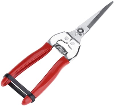 Dailygoody - Snoeischaar - Tuinieren - Stevig en roestvrij staal - 20 cm - Voor het trimmen van bloemen en fruit - Handgereedschap - Voor elke tuinier