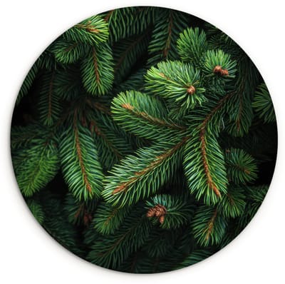 WallCircle® Wandcirkel 120x120 cm - Muurcirkel Sparrentakken - Knoppen - Naalden - Groen - Muurdecoratie woonkamer - Wanddecoratie slaapkamer - Kamer decoratie accessoires - Ronde schilderijen XXL