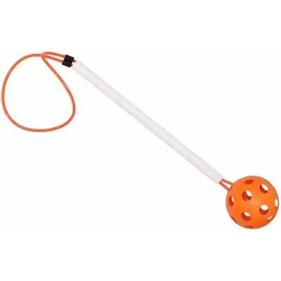 Pakket met 6 ballen en handvat