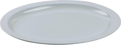 Ovaal Dienblad/Tray (50*40 cm) Melamine