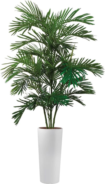 HTT - Kunstplant Areca palm in Clou rond wit H195 cm