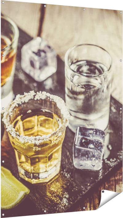 Gards Tuinposter Alcoholische Drankjes - Drank - 120x180 cm - Tuindoek - Tuindecoratie - Wanddecoratie buiten - Tuinschilderij