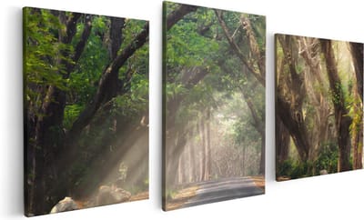 Artaza Canvas Schilderij Drieluik Weg Omringd Met Bomen - 120x60 - Foto Op Canvas - Canvas Print