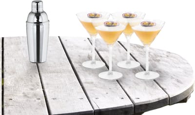 Excellent Houseware - Cocktailshaker 500 ML met 4x Martini cocktailglazen 260 ml
