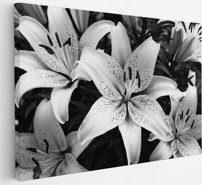 Saammp Canvas Schilderij - Bloemen - Witte Lelies - Natuur - Abstract - 30x20 - Foto op canvas - Wanddecoratie - Muurdecoratie Woonkamer - Kantoor Decoratie