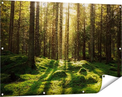 Gards Tuinposter Bos met Groen Mos op de Grond - 120x80 cm - Tuindoek - Tuindecoratie - Wanddecoratie buiten - Tuinschilderij