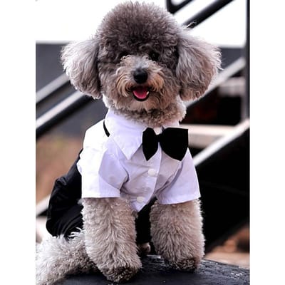 1pc Chemise Rafraîchissante pour Animaux de Compagnie, Design 4 Pattes, Col Formel, Vêtements pour Chat Chien XXL
