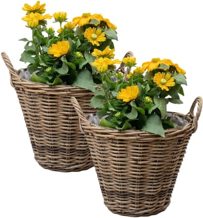 Mega Collections Plantenmand - 2x - bloemenmand - D35 x H25 cm - rond - rotan gevlochten - rieten mand