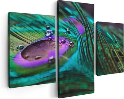 Artaza Canvas Schilderij Drieluik Kleurrijke Pauw Veer Met Waterdruppels  - 90x60 - Foto Op Canvas - Canvas Print