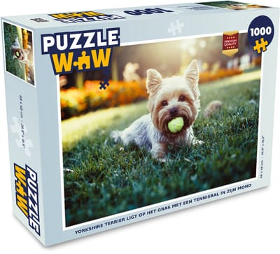 Puzzel Yorkshire Terrier ligt op het gras met een tennisbal in zijn mond - Legpuzzel - Puzzel 1000 stukjes volwassenen