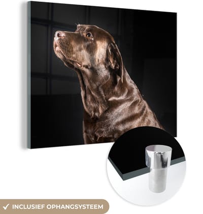 MuchoWow® Glasschilderij 160x120 cm - Schilderij acrylglas - Hond - Bruin - Portret - Foto op glas - Schilderijen