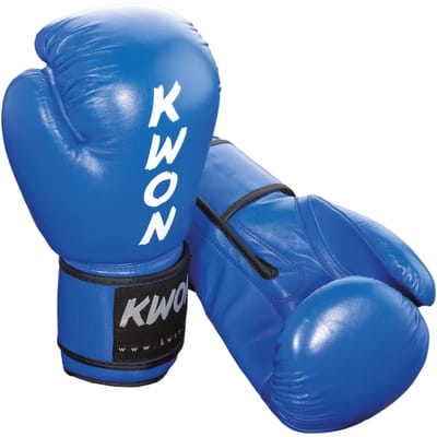 Bokshandschoenen Kwon Ergo Champ