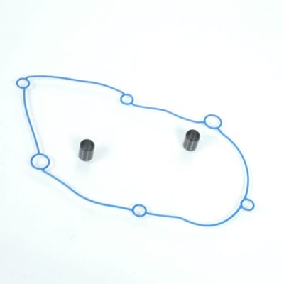 Polini-transmissiebehuizing voor Yamaha Aerox 50-scooter, modeljaar 2002 t/m 2018, nieuw