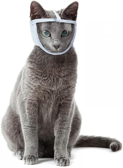 Katten Muilkorf - Kattenmasker - Veilig Verzorgen - Ademend PVC Ontwerp - Maat M