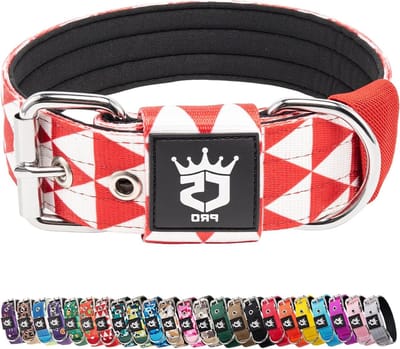 Verstelbare en stevige hondenhalsband met metalen gesp voor honden met een nekmaat van 40-48 cm, ideaal voor training en dagelijks gebruik